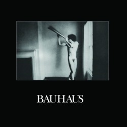 (LP+CD) Bauhaus - In The...