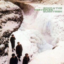 (LP) Echo & The Bunnymen - Porcupine