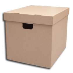 Cardboard storage box for...