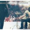 (LP) The Cardigans - First Band On The Moon