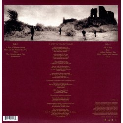 (LP) U2 - The Unforgettable Fire