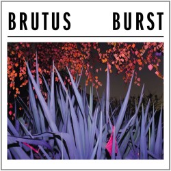 (LP) Brutus - Burst